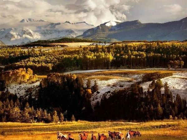 DRR Last Dollar Road, Telluride, CO 81435