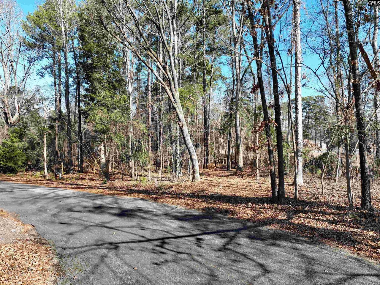 409 Dutchman Shores Circle Photo 4