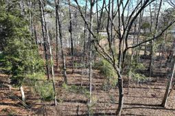 409 Dutchman Shores Circle photo 4