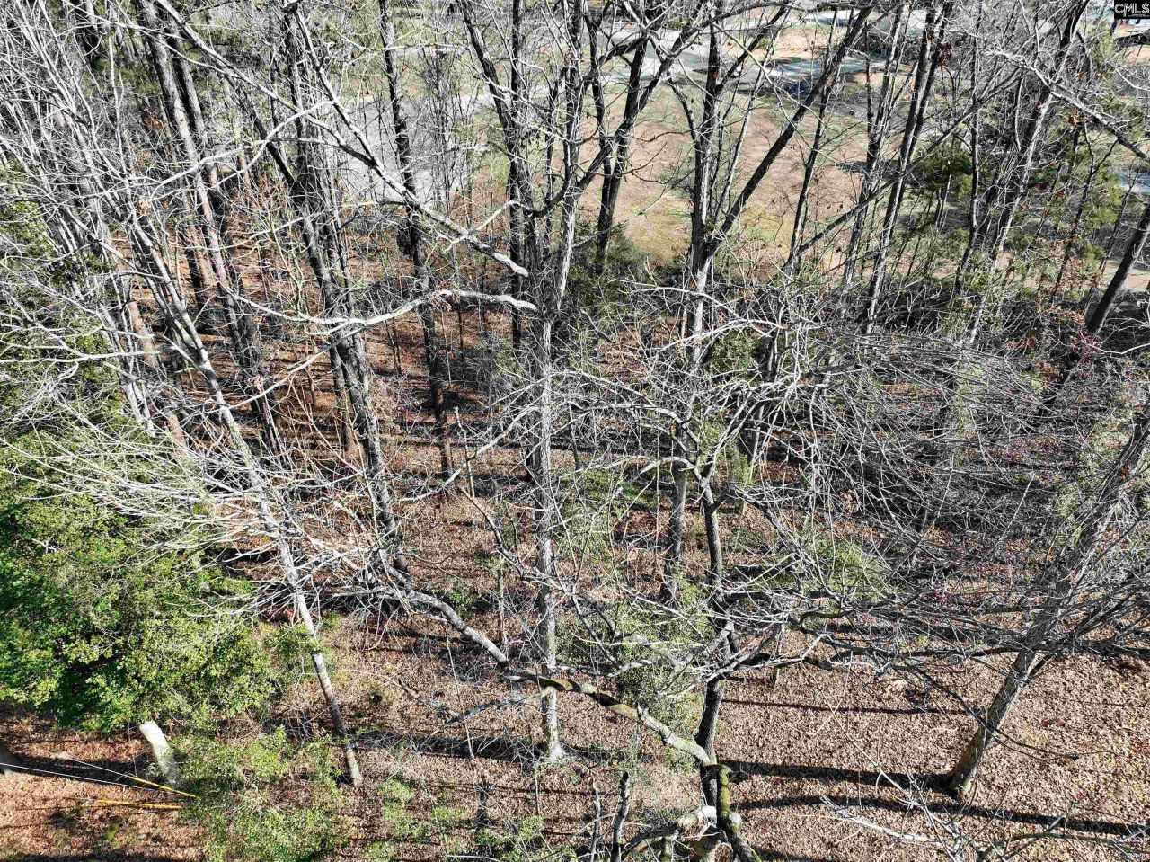 409 Dutchman Shores Circle Photo 6