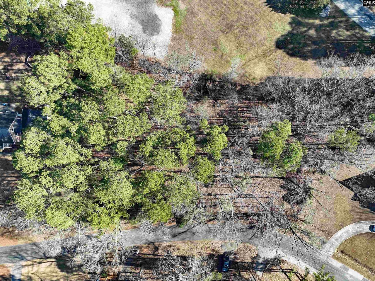 409 Dutchman Shores Circle Photo 7