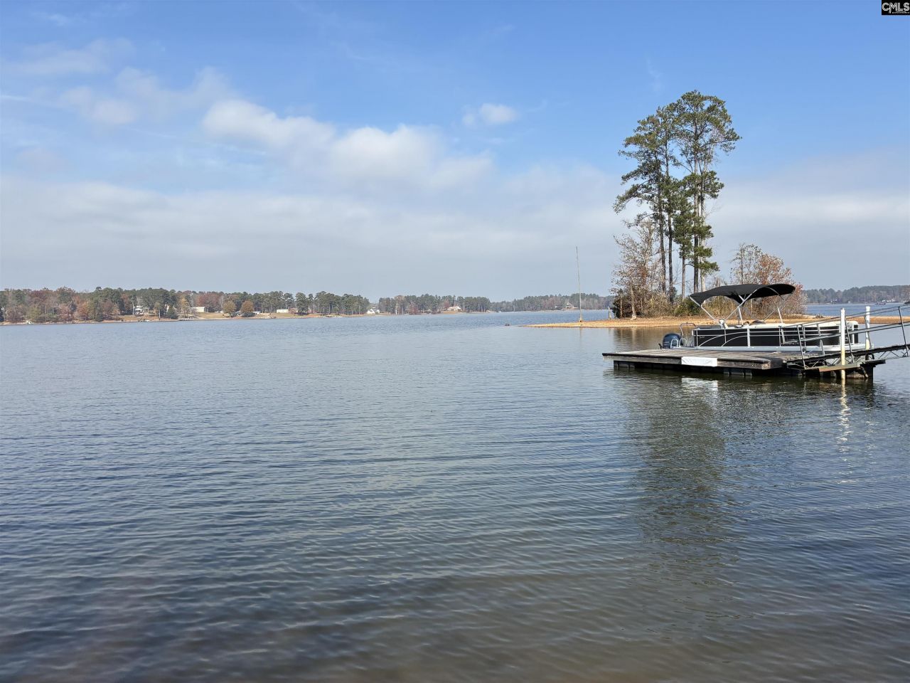 266 Saluda Waters Point Photo 5