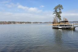 266 Saluda Waters Point photo 4