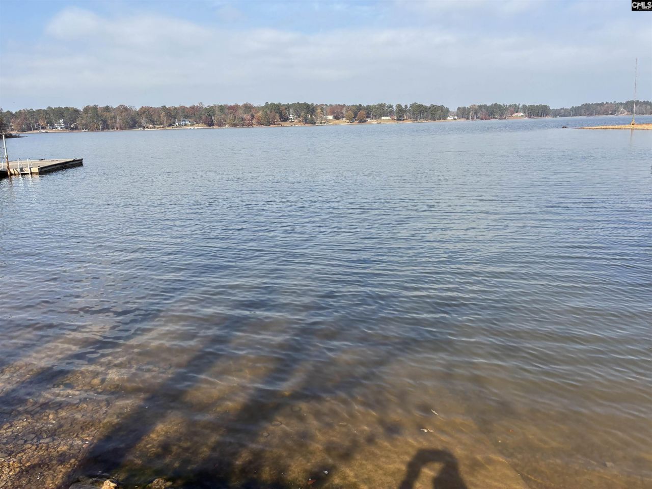 266 Saluda Waters Point Photo 7