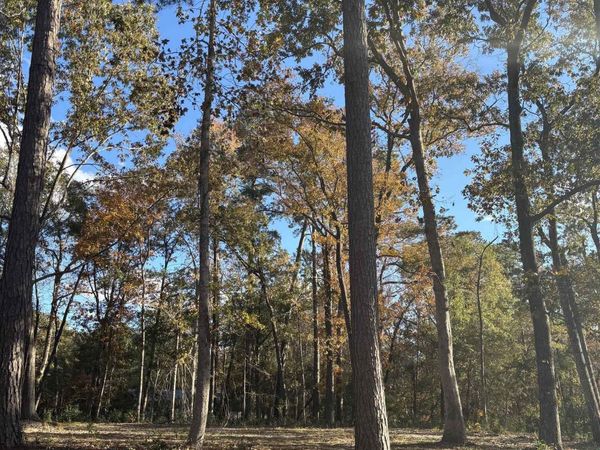 282 Pineneedle Circle, Johnsonville, SC 29555