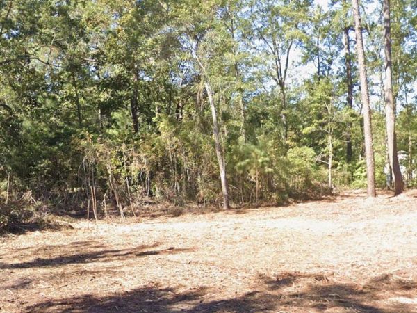 237 Byrnes Circle, Johnsonville, SC 29555