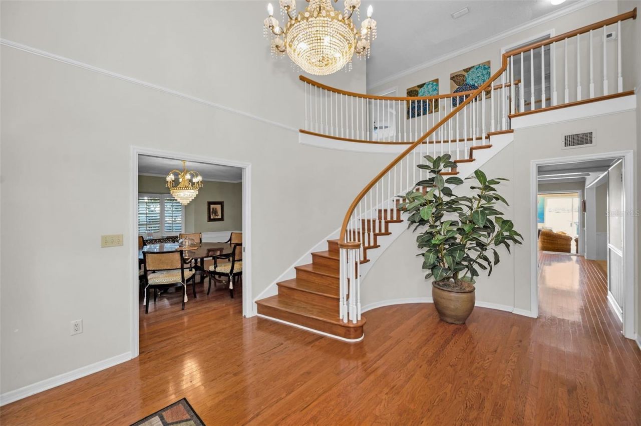 1302 Belcher Drive, Tarpon Springs, FL 34689 Photo