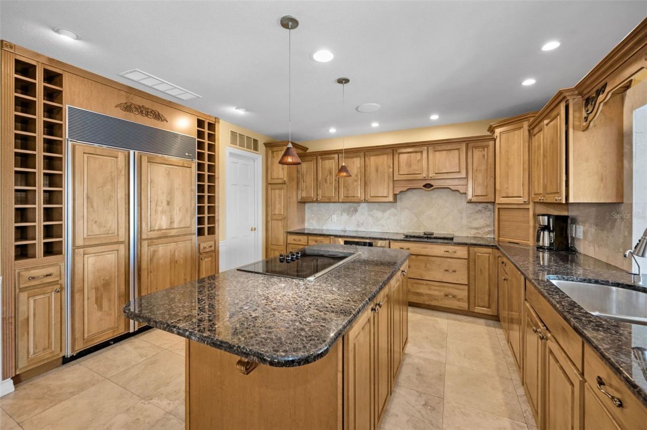 1302 Belcher Drive, Tarpon Springs, FL 34689 Photo