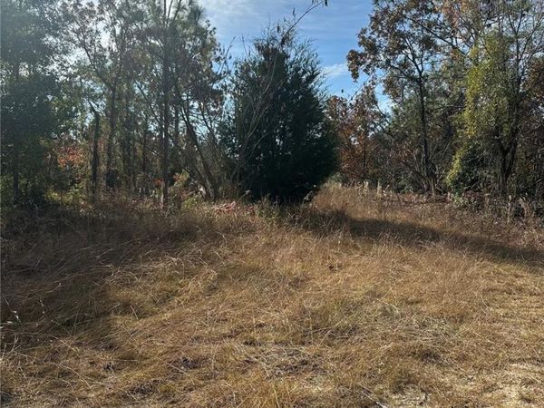 Lot 2 NE 151ST TER, WILLISTON, FL 32696