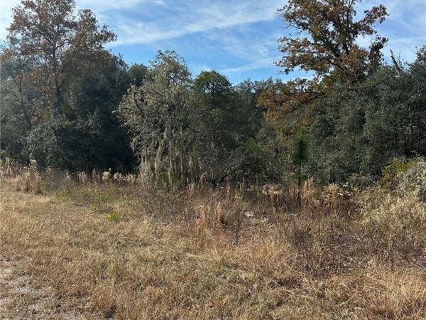 Lot 26 SE 133RD AVENUE, DUNNELLON, FL 34434