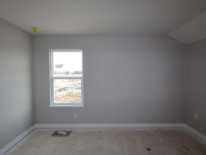 317 River Birch Drive, Galena, OH 43021 Photo 12