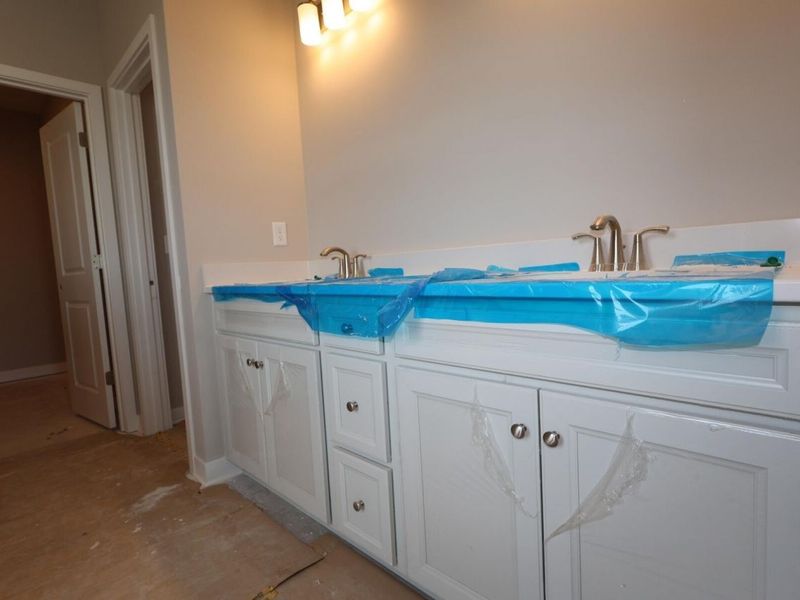 317 River Birch Drive, Galena, OH 43021 Photo 7