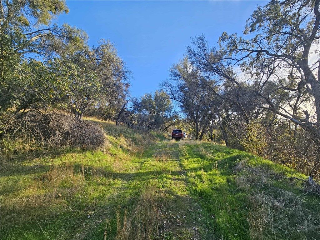 58111 Lark, North Fork, CA 93643 Main Photo