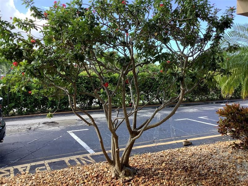 2300 NE 1st Ln, Unit 107, Boynton Beach, FL 33435 Photo