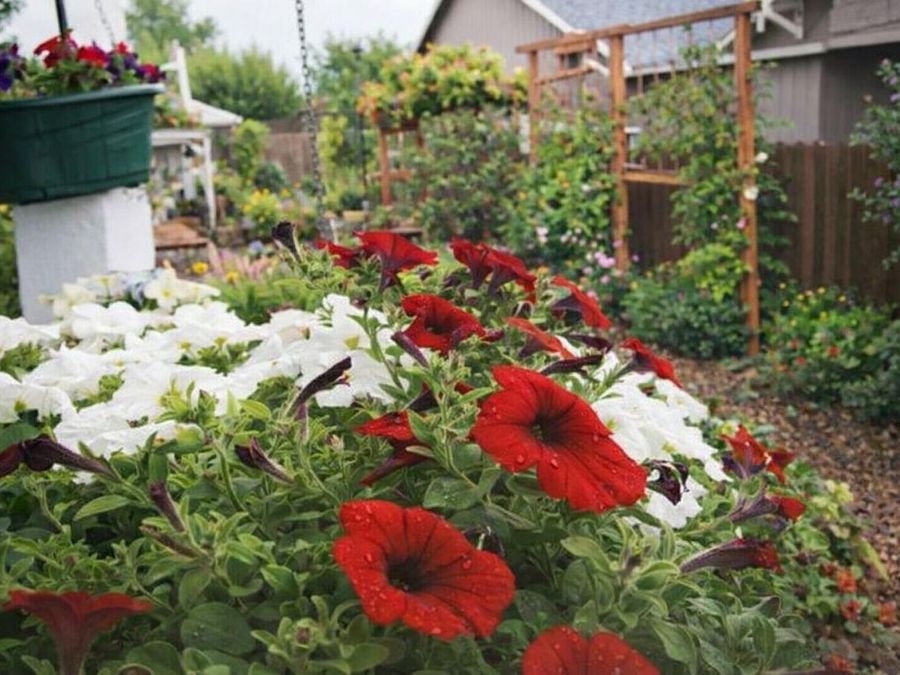 Property Image 68
