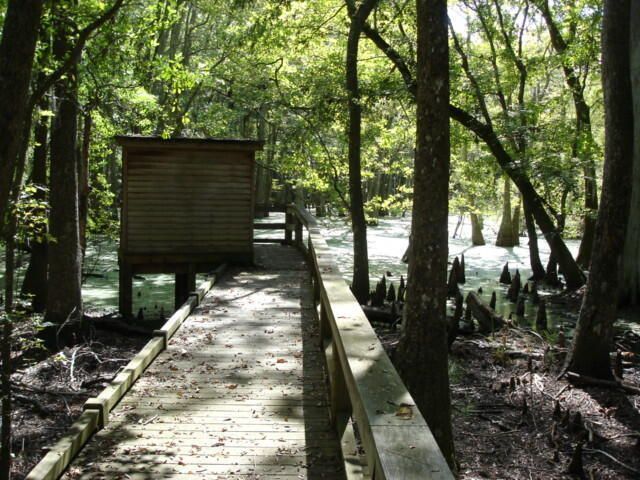 8606 Glascow Island Lane Photo 76