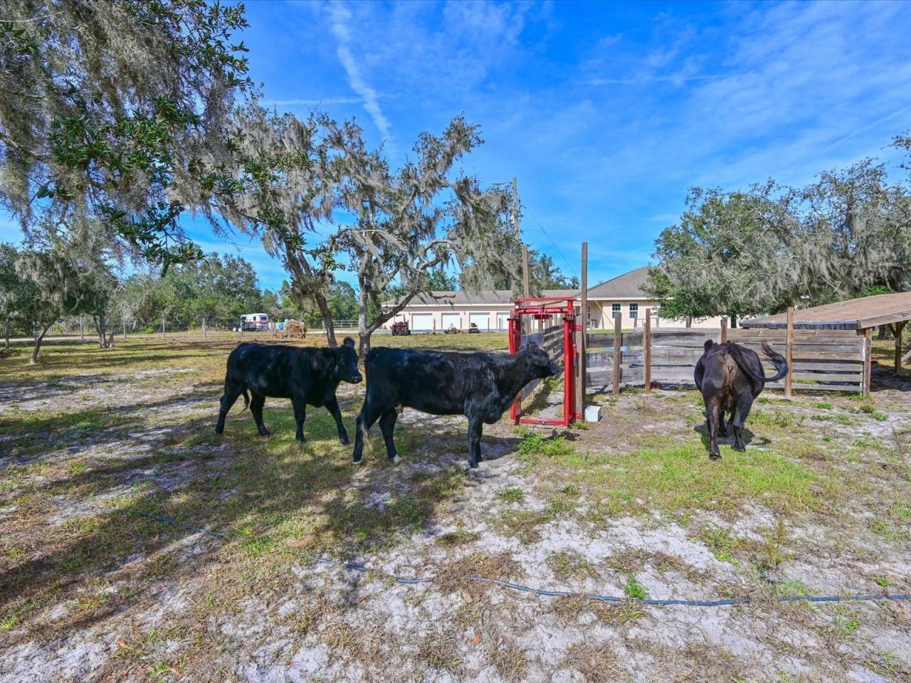 40305 73rd Avenue E, Myakka City, FL 34251 Photo