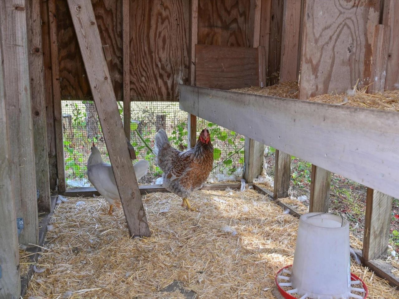 40305 73rd Avenue E, Myakka City, FL 34251 Photo