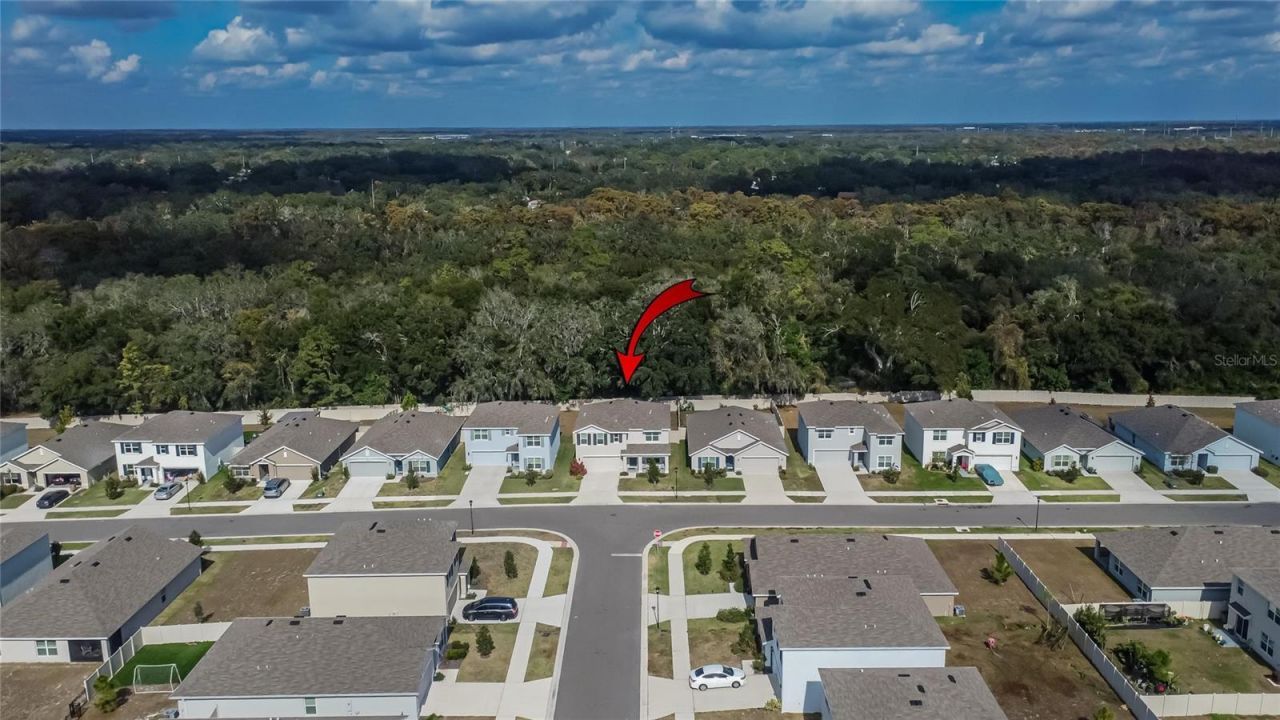 7751 Rosewood Garden Loop, Temple Terrace, FL 33637 Photo