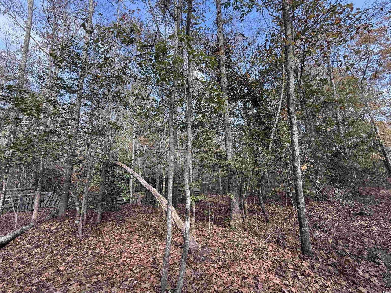 7262 N Brewington Rd.  Photo 11