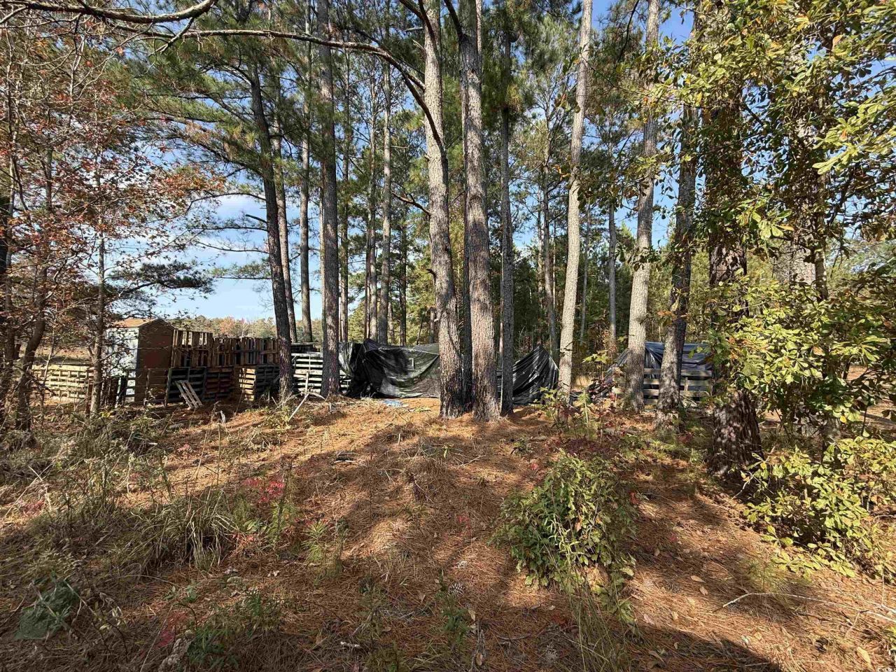 7262 N Brewington Rd.  Photo 15