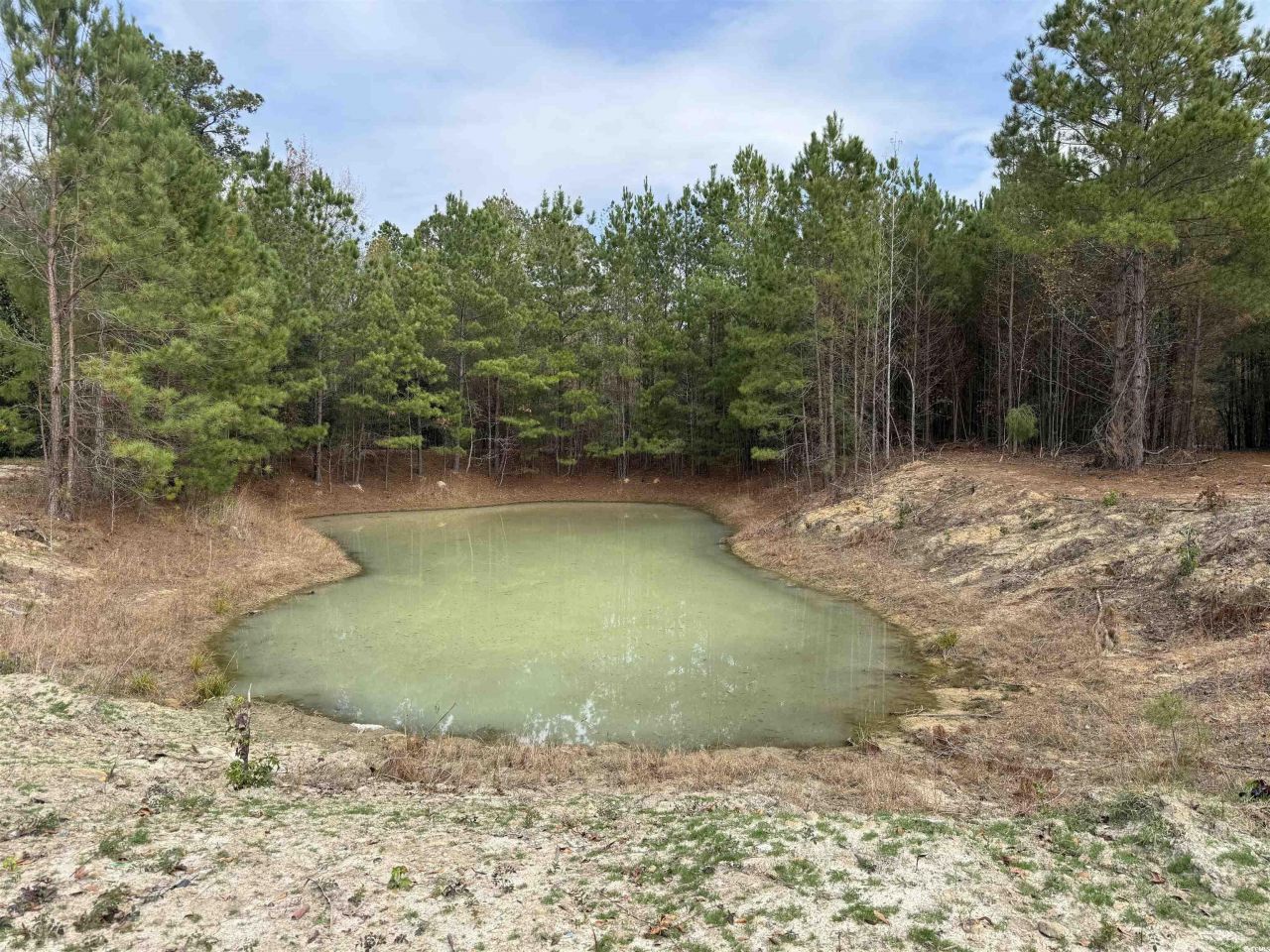 7262 N Brewington Rd.  Photo 17