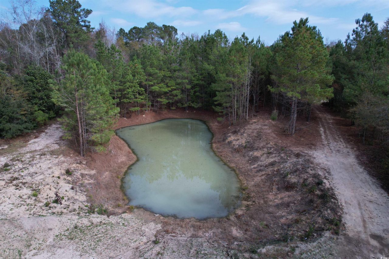 7262 N Brewington Rd.  Photo 6