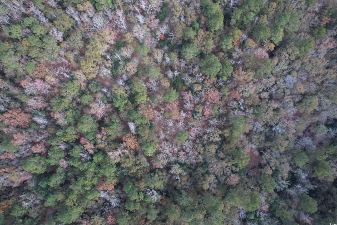 7262 N Brewington Rd.  Photo 7