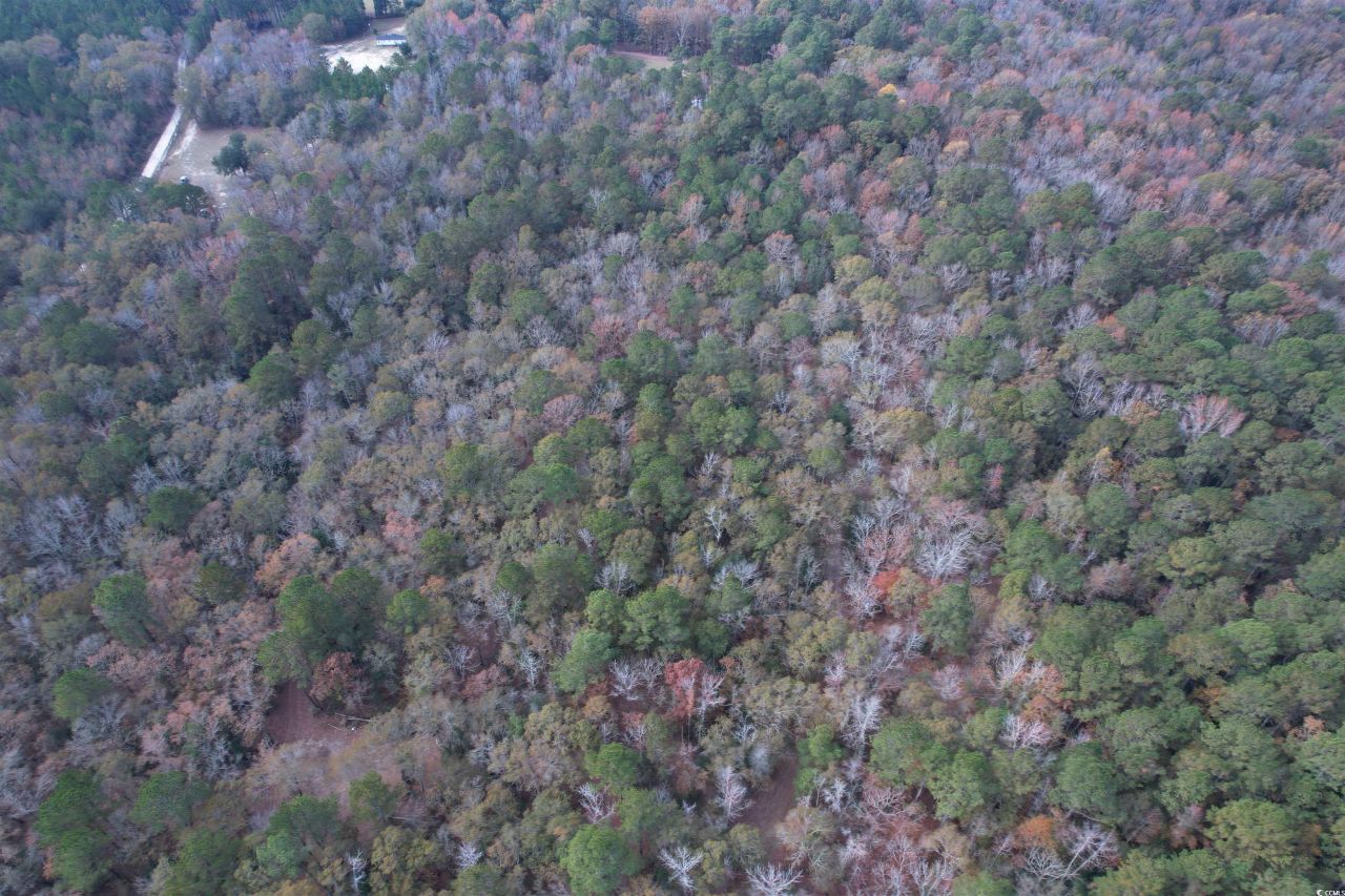 7262 N Brewington Rd.  Photo 8