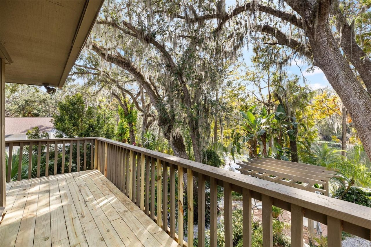 1221 N Riverhills Drive, Temple Terrace, FL 33617 Photo