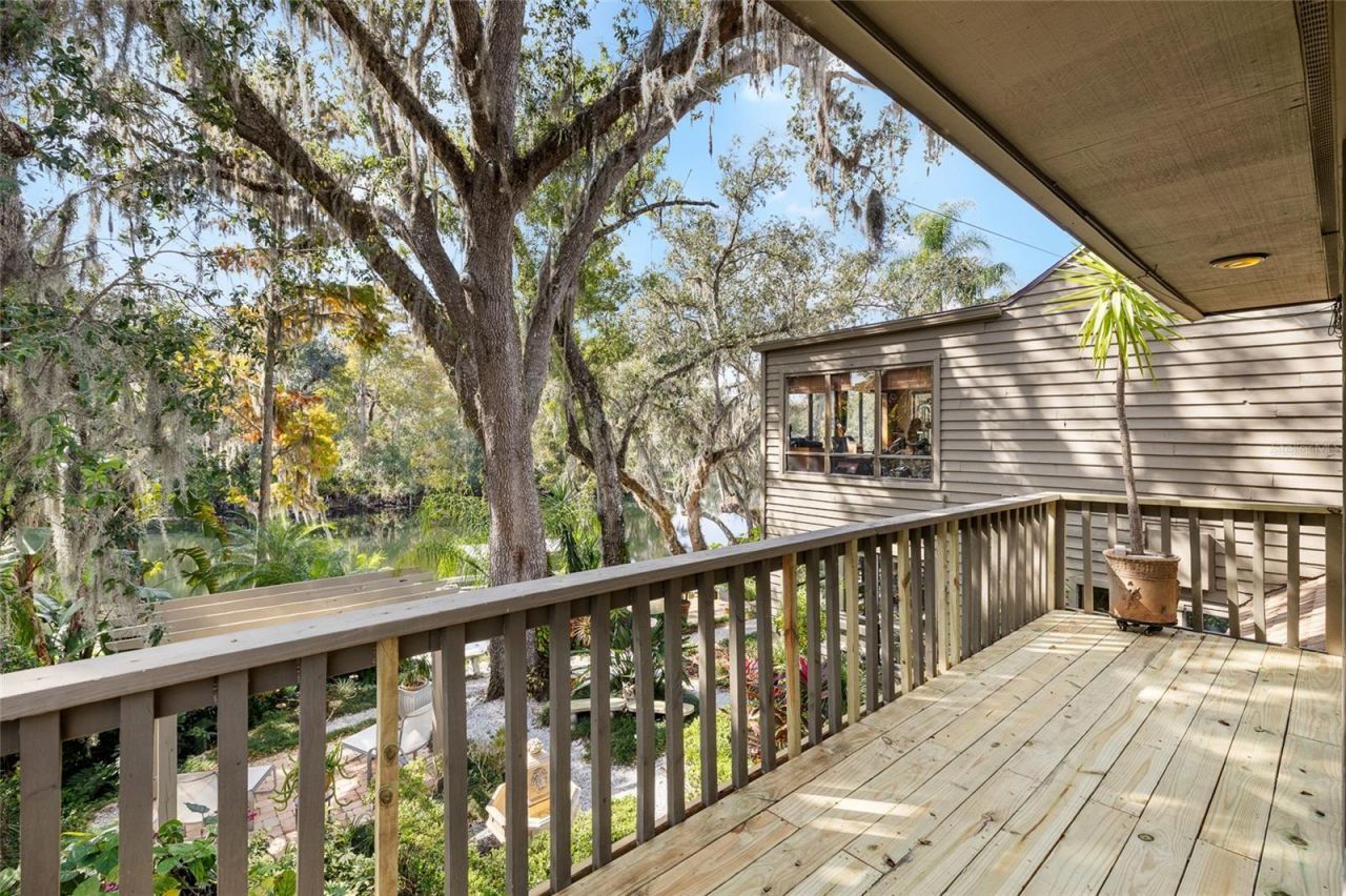 1221 N Riverhills Drive, Temple Terrace, FL 33617 Photo