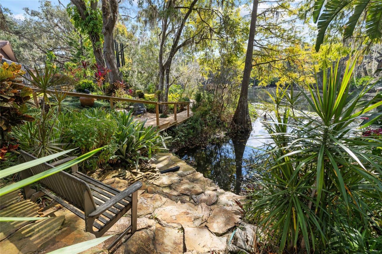 1221 N Riverhills Drive, Temple Terrace, FL 33617 Photo