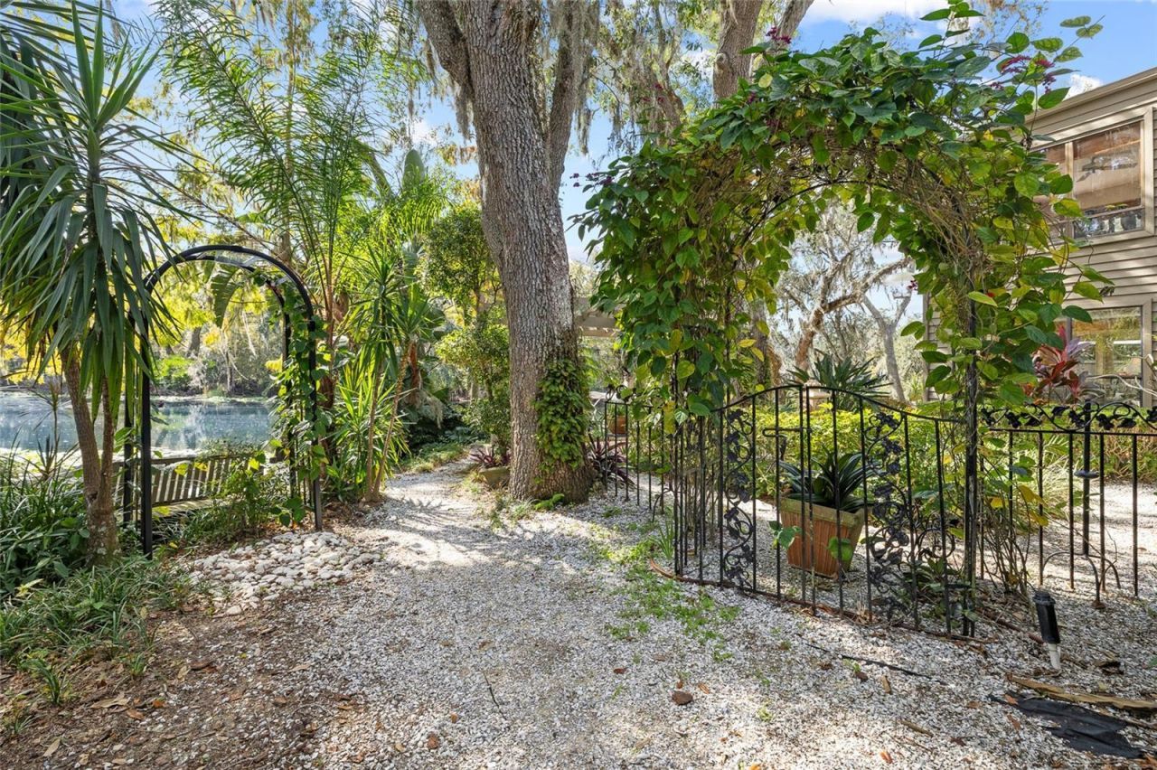 1221 N Riverhills Drive, Temple Terrace, FL 33617 Photo