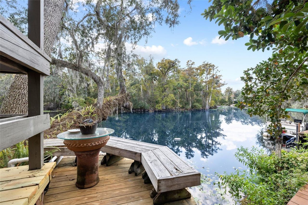 1221 N Riverhills Drive, Temple Terrace, FL 33617 Photo