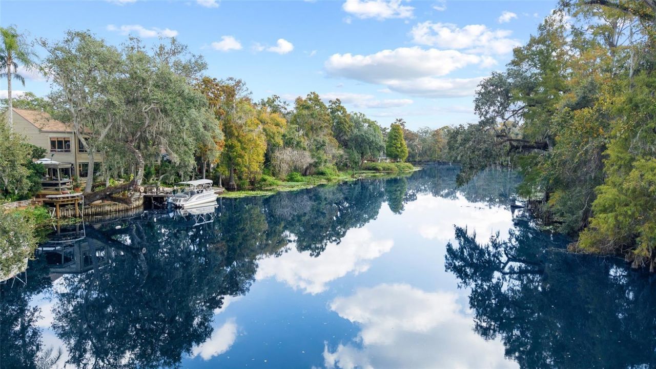 1221 N Riverhills Drive, Temple Terrace, FL 33617 Photo