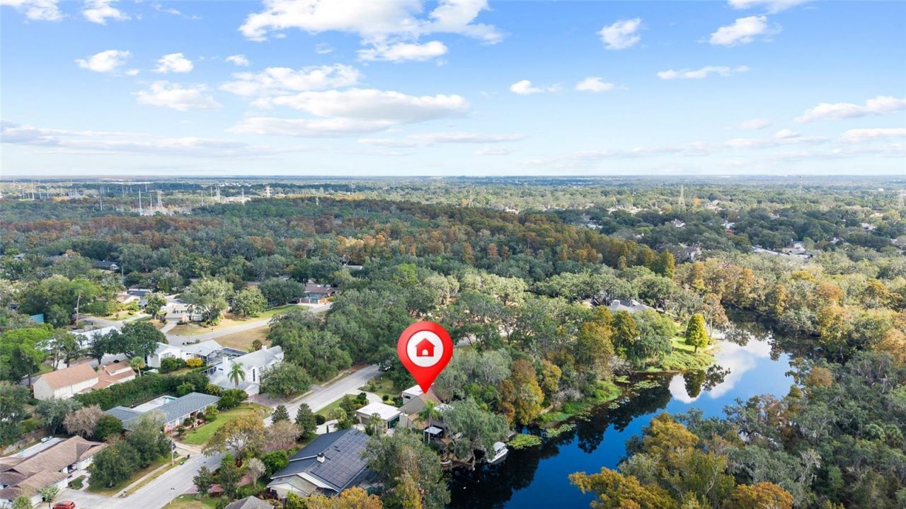 1221 N Riverhills Drive, Temple Terrace, FL 33617 Photo