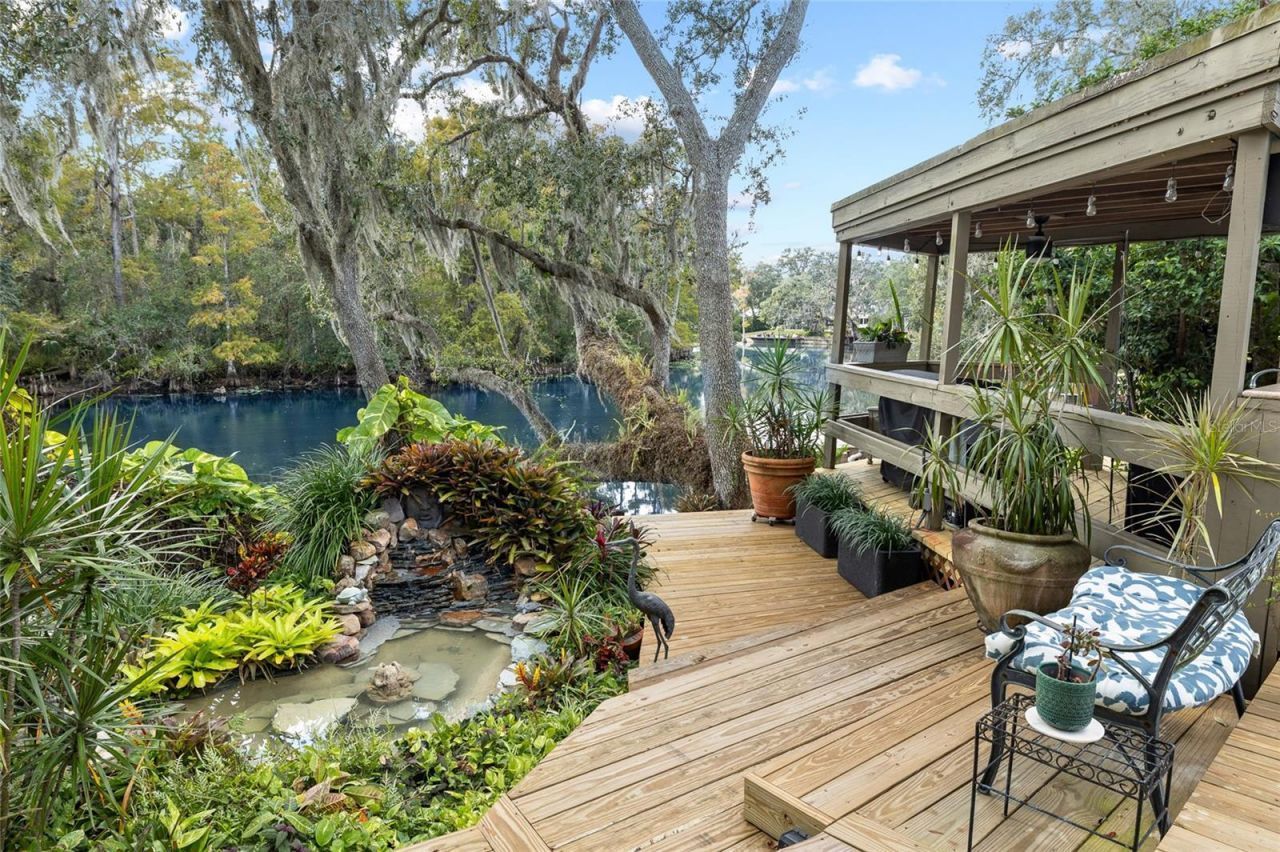 1221 N Riverhills Drive, Temple Terrace, FL 33617 Photo