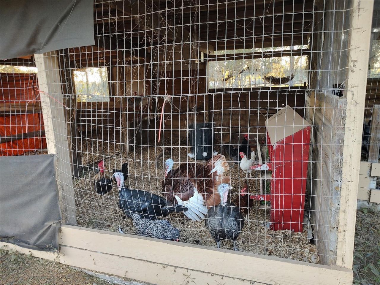 4432 Marion County Road, Weirsdale, FL 32195 Photo