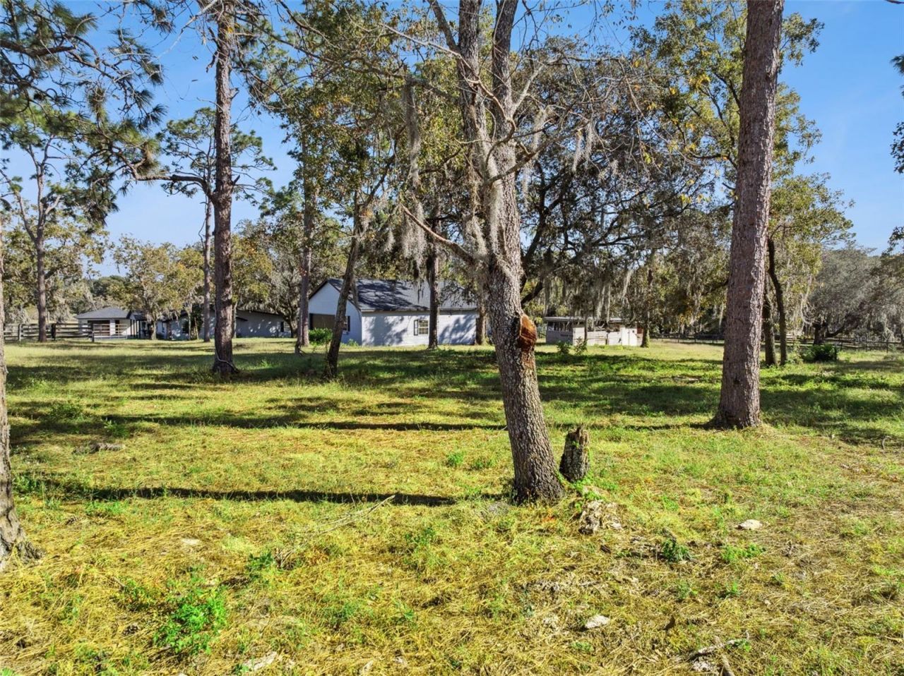 4432 Marion County Road, Weirsdale, FL 32195 Photo