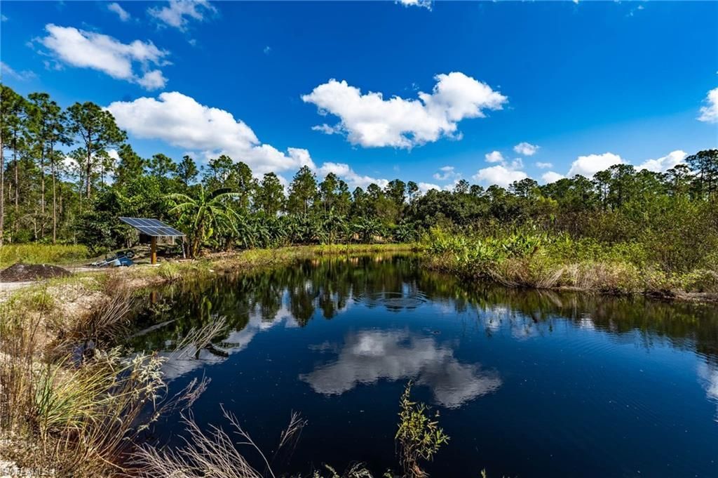 1065 Sanctuary Rd, Naples, FL 34120 Photo