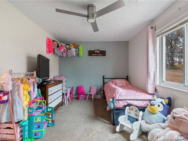 432 Edith Avenue, Akron, OH 44312 Photo 18