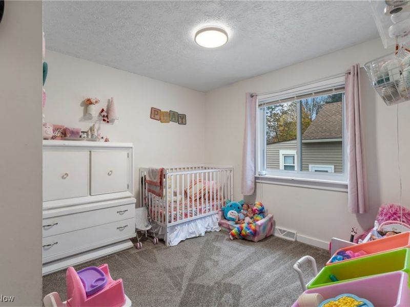 432 Edith Avenue, Akron, OH 44312 Photo 19