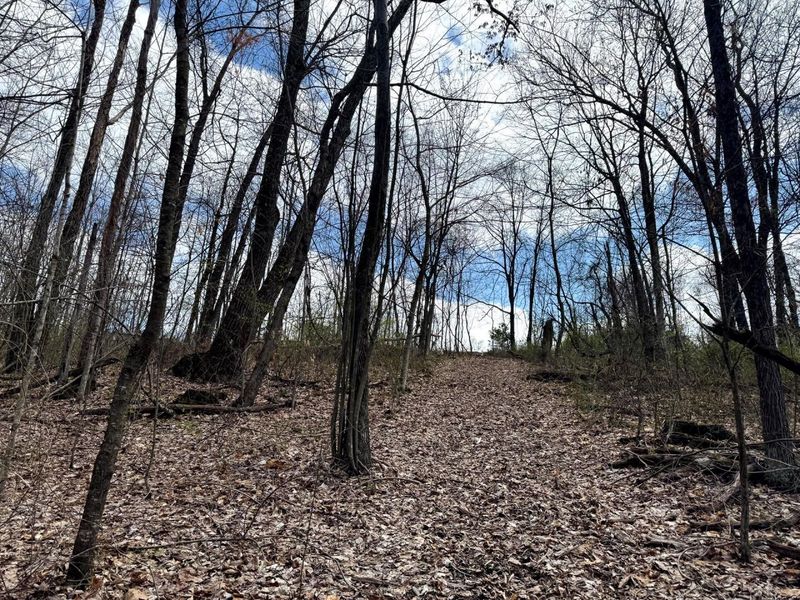 266 Golf Course Road, Unit (Tract 9 S, Waverly, OH 45690 Photo 15