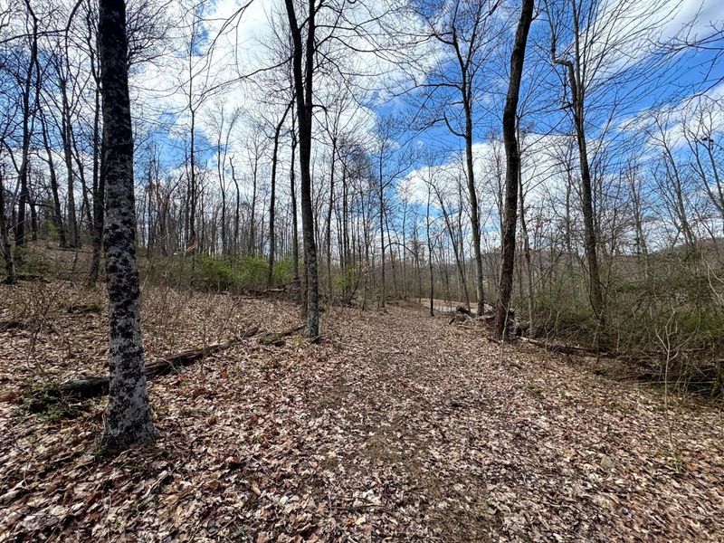 266 Golf Course Road, Unit (Tract 9 S, Waverly, OH 45690 Photo 19