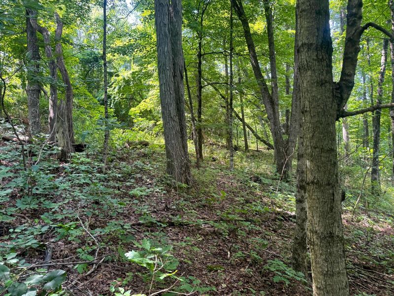 266 Golf Course Road, Unit (Tract 9 S, Waverly, OH 45690 Photo 29