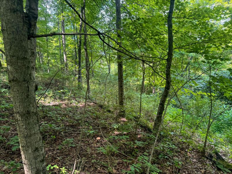 266 Golf Course Road, Unit (Tract 9 S, Waverly, OH 45690 Photo 30