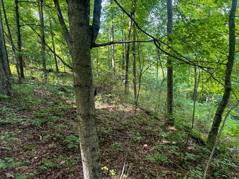 266 Golf Course Road, Unit (Tract 9 S, Waverly, OH 45690 Photo 6