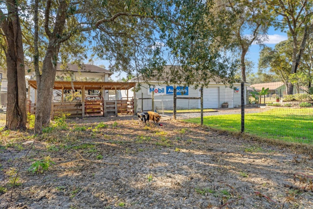 5412 Golddust Road, Spring Hill, FL 34609 Photo