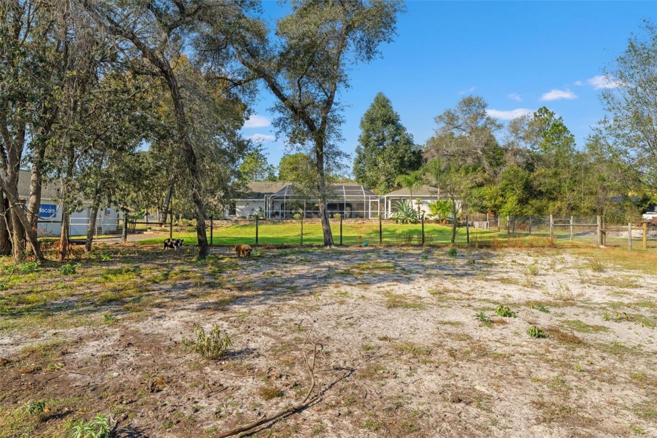 5412 Golddust Road, Spring Hill, FL 34609 Photo