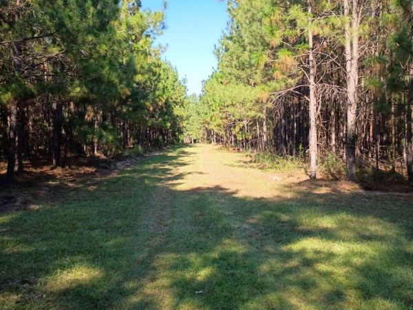 0 Thomas Road, Millen, GA 30442